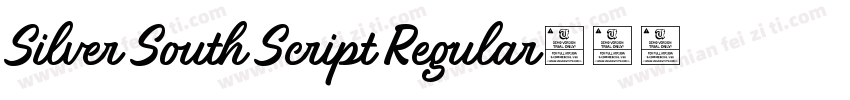 Silver South Script Regular字体转换